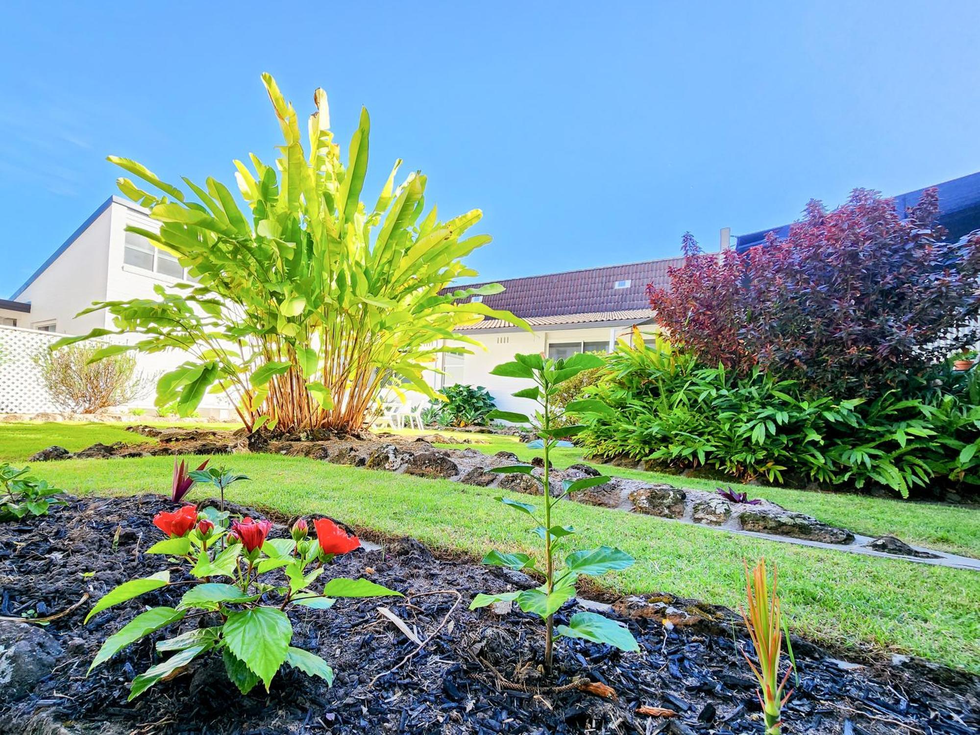 The Stella Motel Yamba Exterior photo